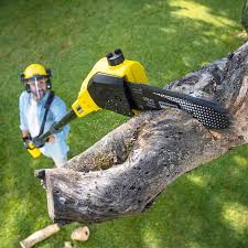 Best Arborist Consultation Services  in Ara, AL